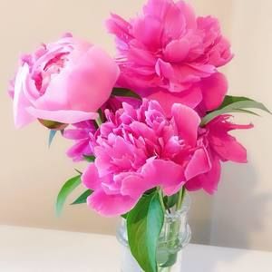 Meet your Posher, Angel